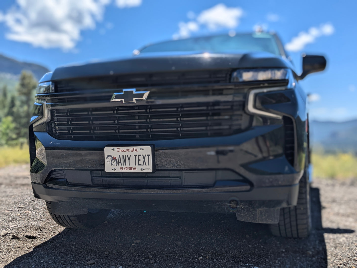 Florida Choose Life Novelty License Plate