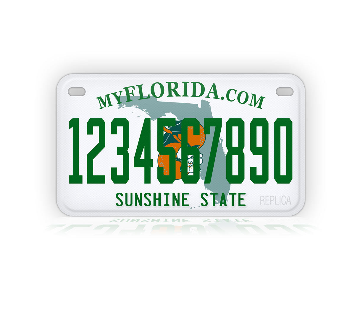 Florida Motorcycle Novelty Plate