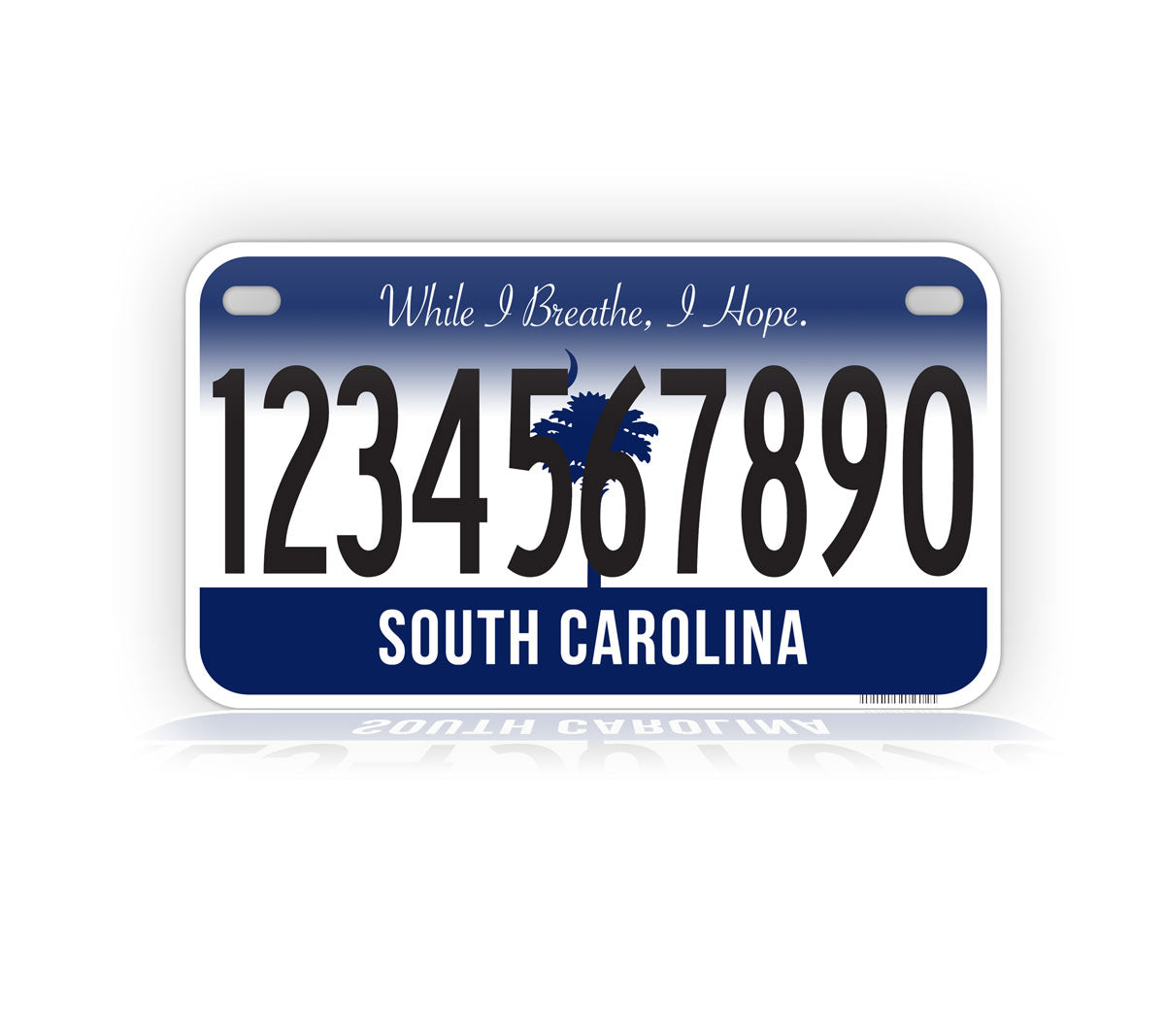 South Carolina Motorcycle Novelty Plate