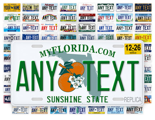Florida Novelty License Plate