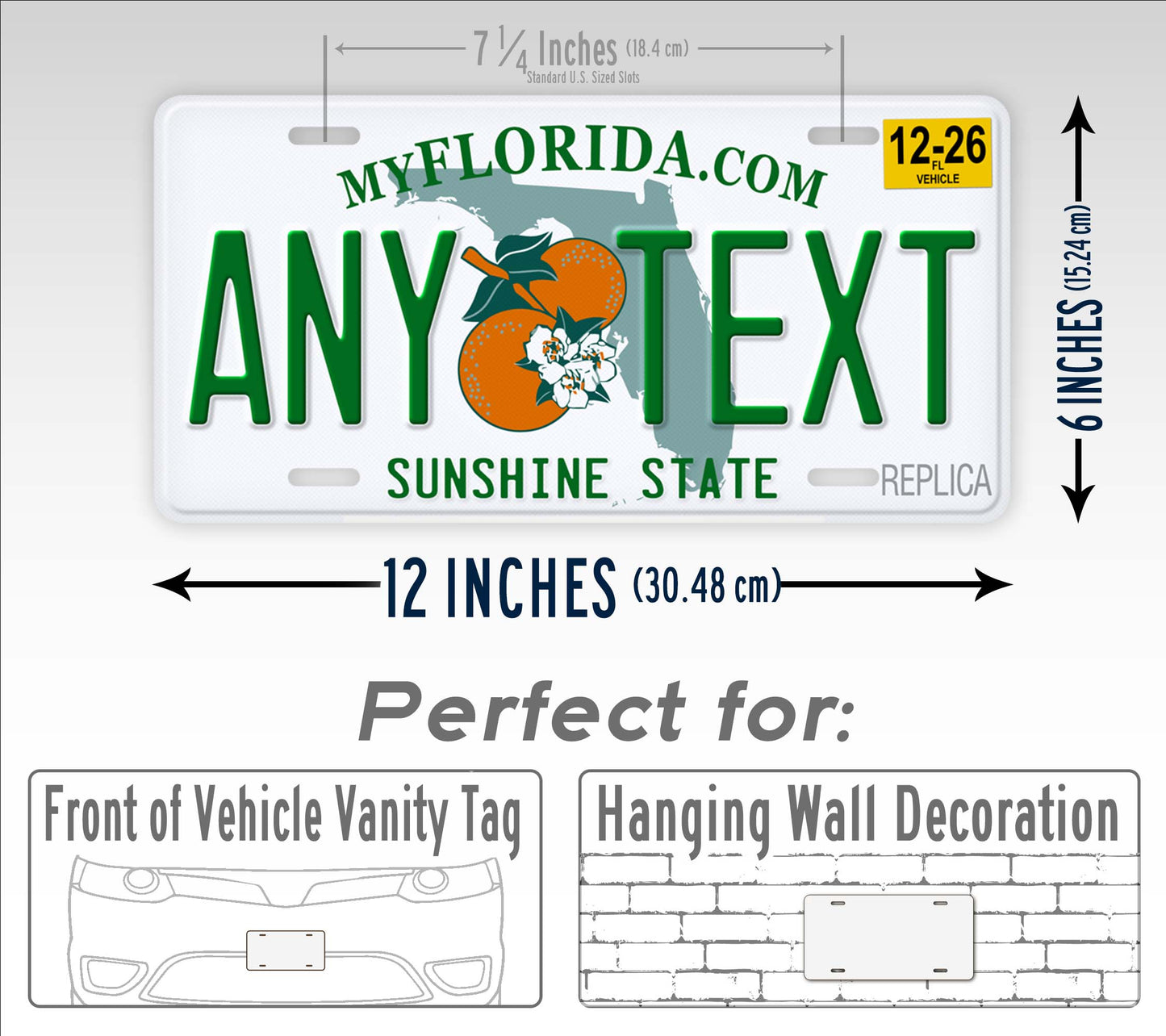 Florida Novelty License Plate