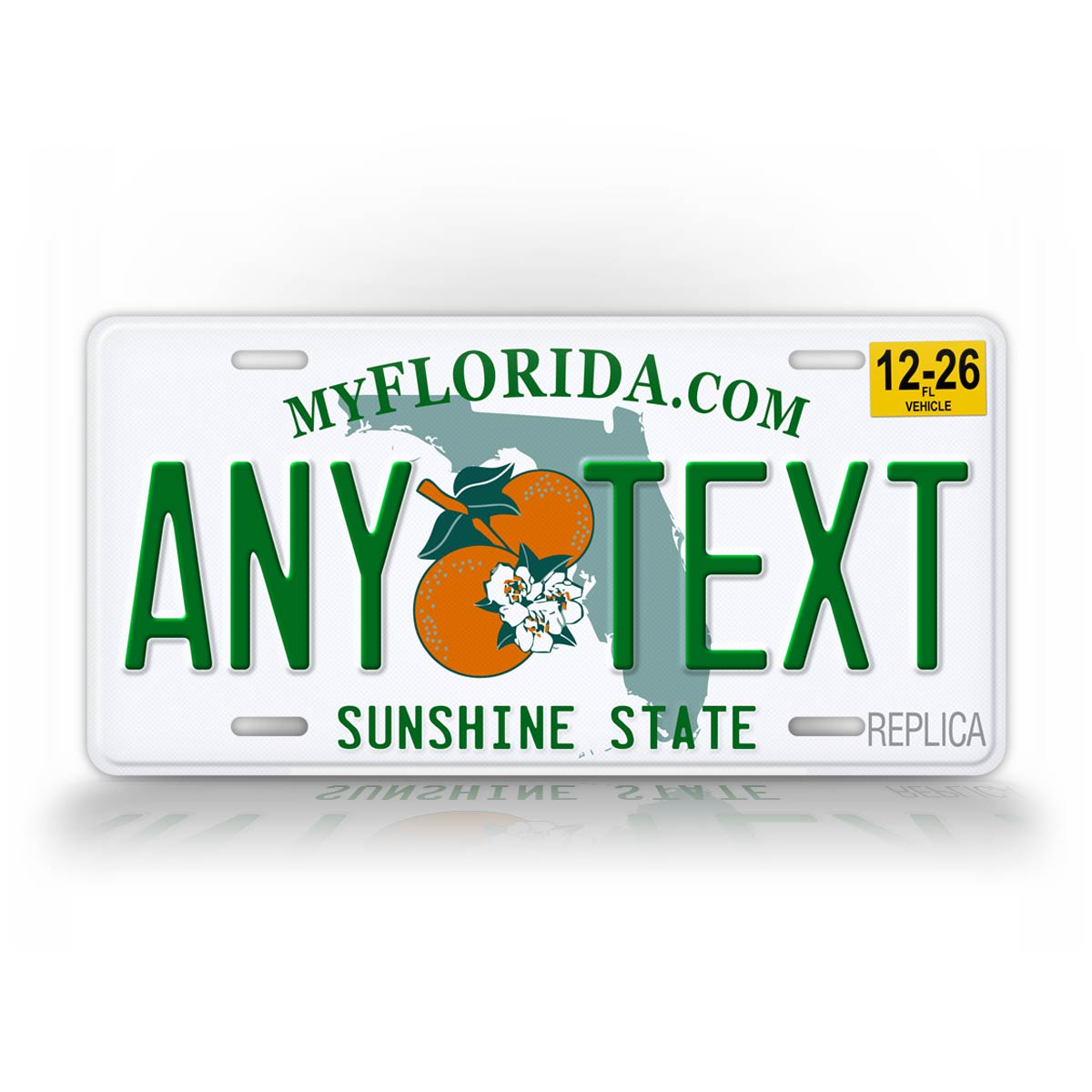 Florida Novelty License Plate