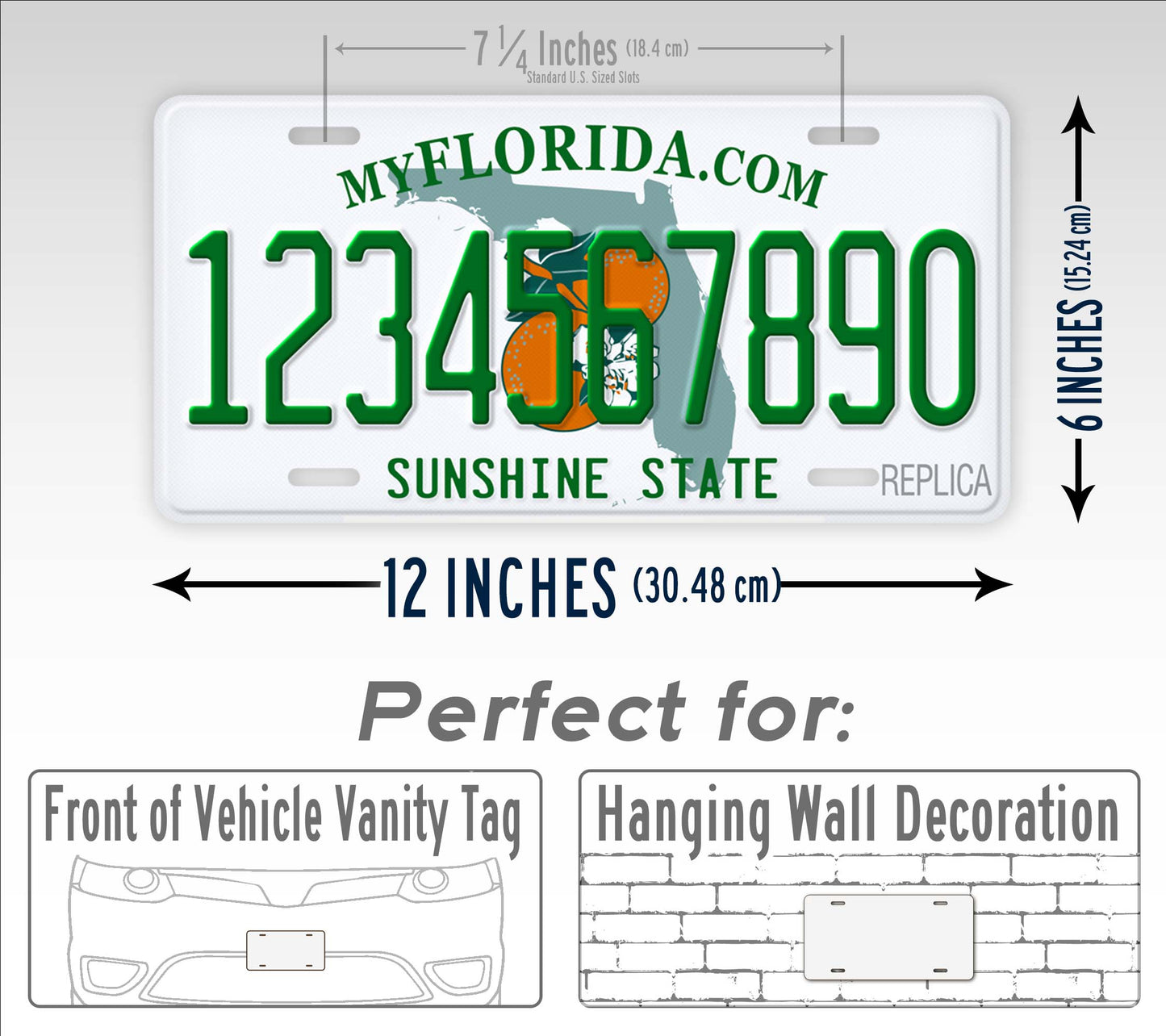 Florida Novelty License Plate