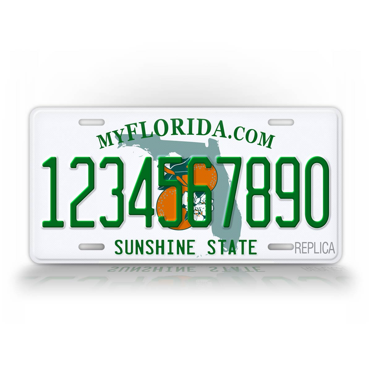 Florida Novelty License Plate