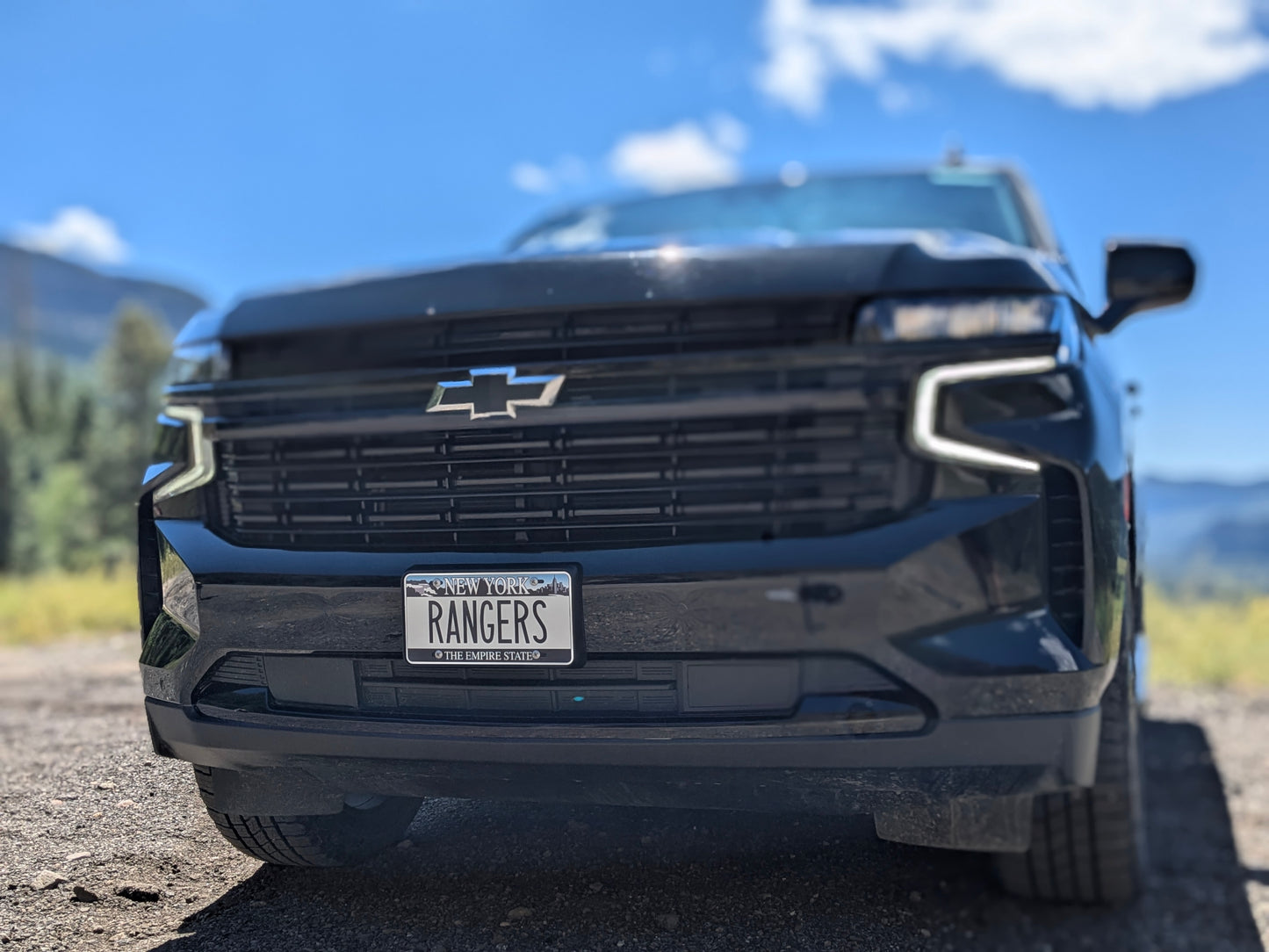 New York "Blue Falls" Novelty License Plate