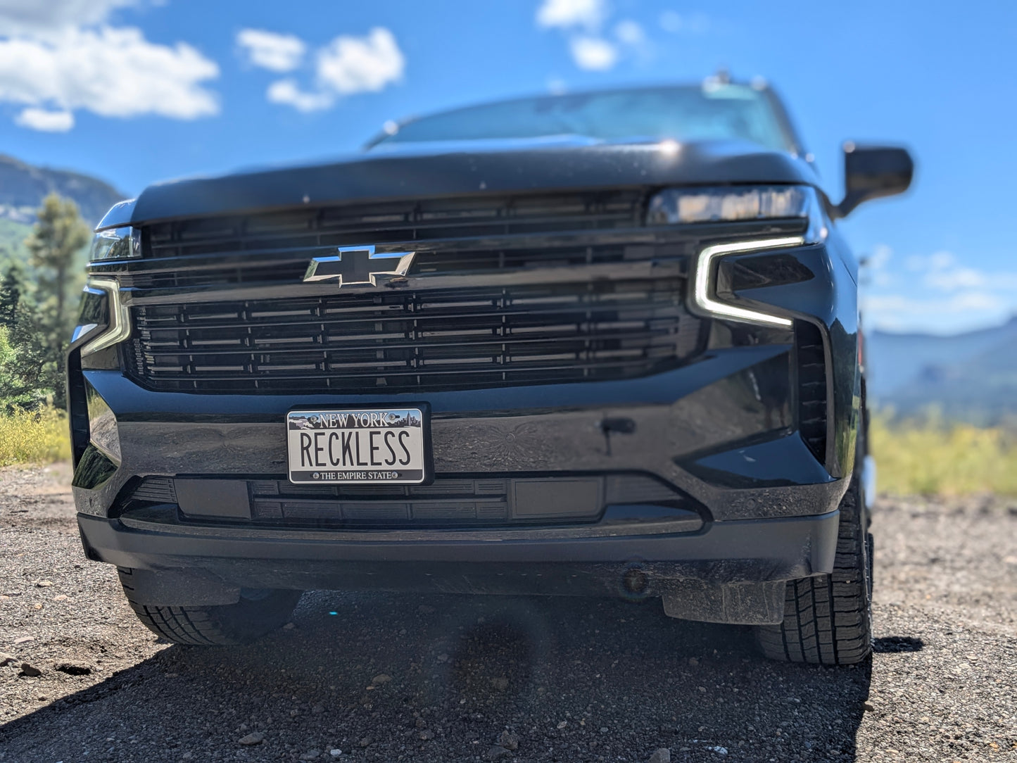 New York "Blue Falls" Novelty License Plate