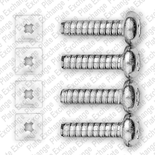 Mounting Screws