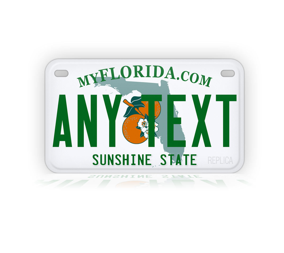 Florida Motorcycle Novelty Plate