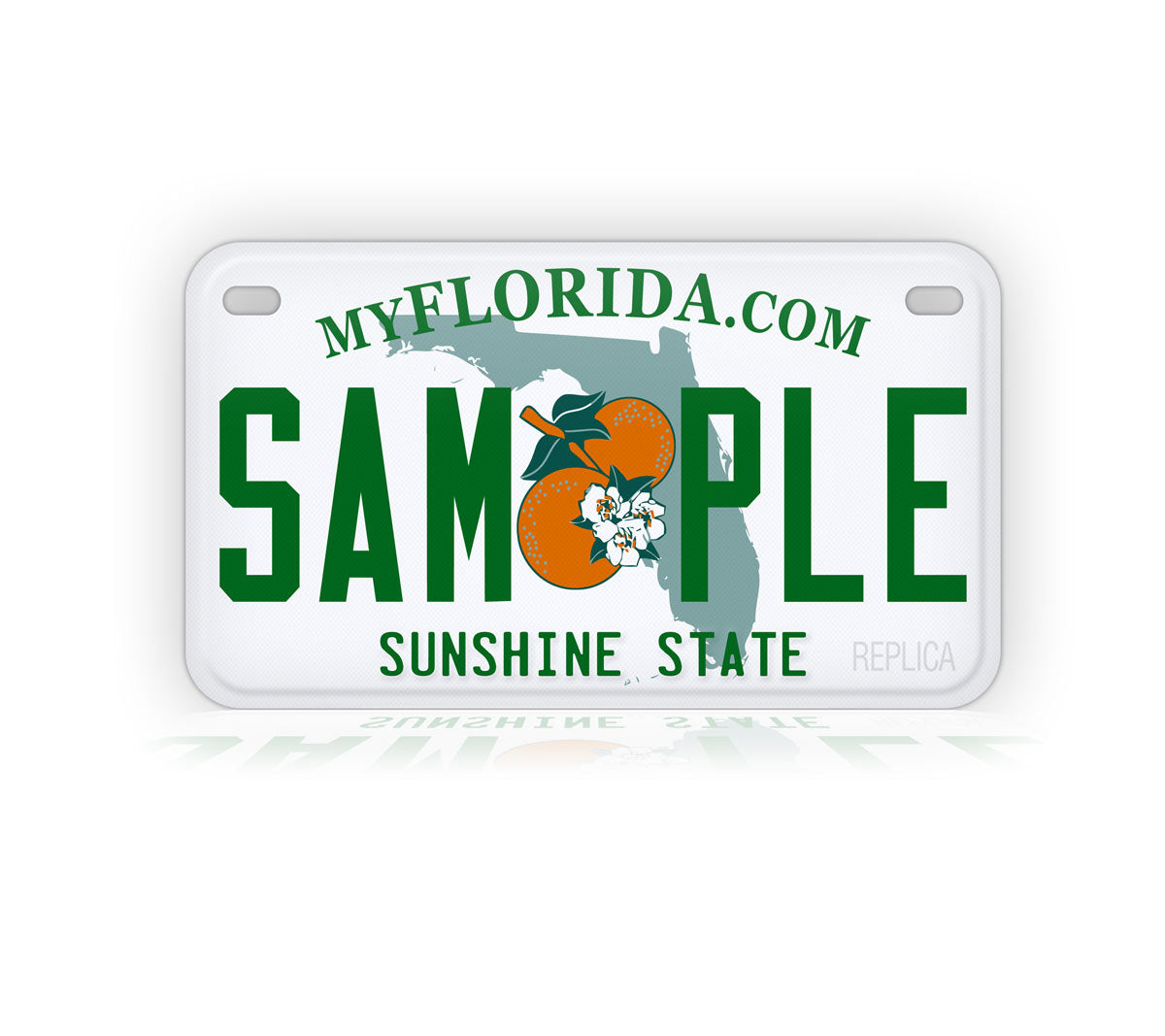 Florida Motorcycle Novelty Plate