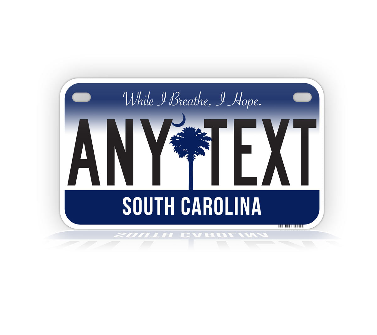 South Carolina Motorcycle Novelty Plate